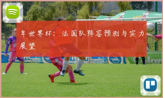 年世界杯：法国队阵容预测与实力展望