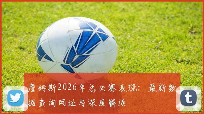 詹姆斯2026年总决赛表现：最新数据查询网址与深度解读