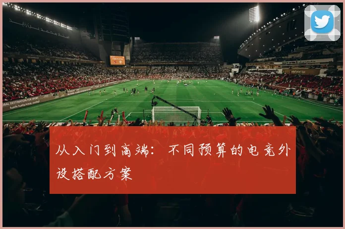 从入门到高端：不同预算的电竞外设搭配方案