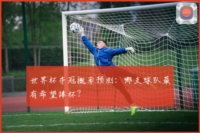 世界杯夺冠概率预测：哪支球队最有希望捧杯？