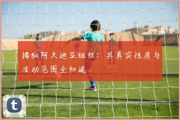 揭秘阿夫迪亚组织：其真实性质与活动范围全知道